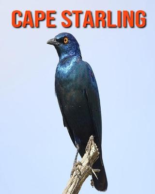 Book cover for Cape Starling