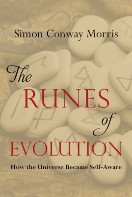 Book cover for The Runes of Evolution