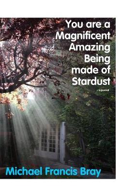 Book cover for You are a Magnificent Amazing Being made of Stardust a journal