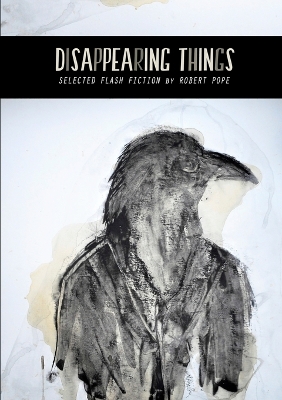 Book cover for Disappearing Things