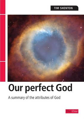 Book cover for Our Perfect God