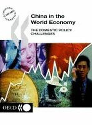 Book cover for China in the World Economy