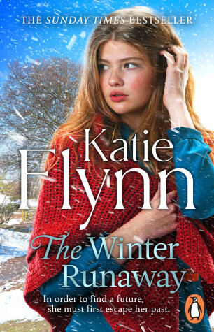 Book cover for The Winter Runaway