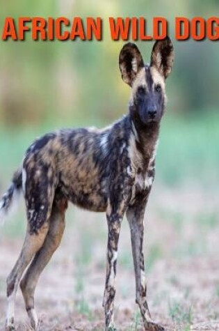 Cover of African Wild Dog