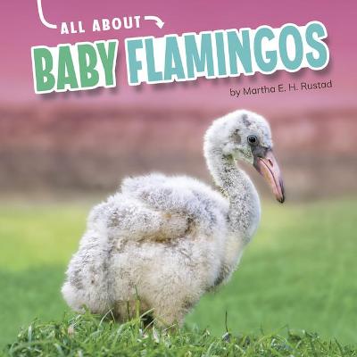 Cover of All about Baby Flamingos