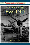 Book cover for Focke-Wulf FW 190