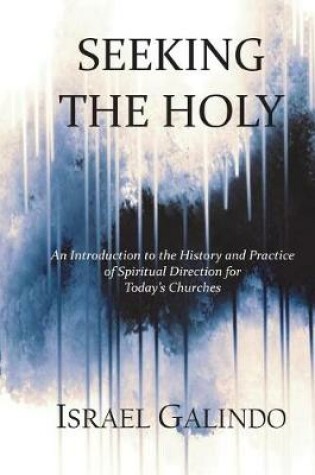 Cover of Seeking the Holy