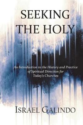 Book cover for Seeking the Holy