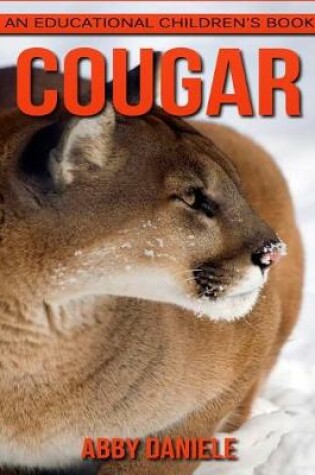 Cover of Cougar! An Educational Children's Book about Cougar with Fun Facts & Photos