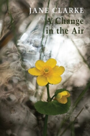 Cover of A Change in the Air