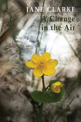 Book cover for A Change in the Air