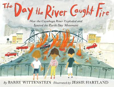 Book cover for The Day the River Caught Fire