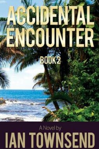 Cover of Accidental Encounter