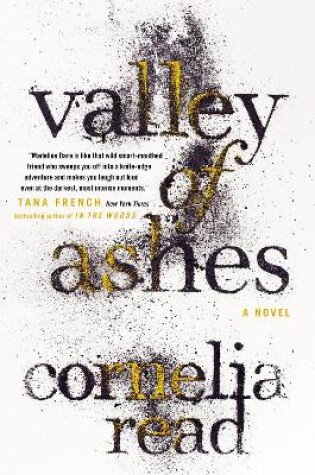 Cover of Valley of Ashes