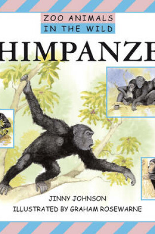 Cover of Chimpanzees