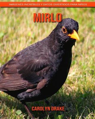 Book cover for Mirlo