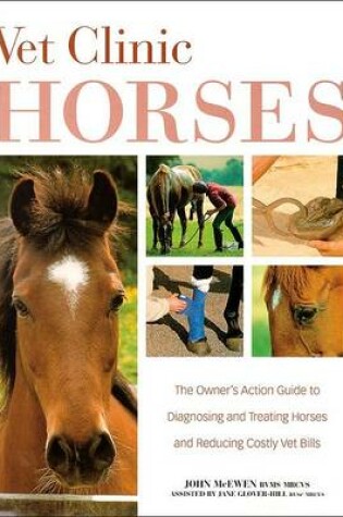 Cover of Vet Clinic for Horses