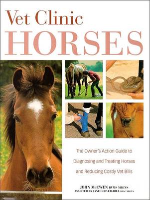 Book cover for Vet Clinic for Horses