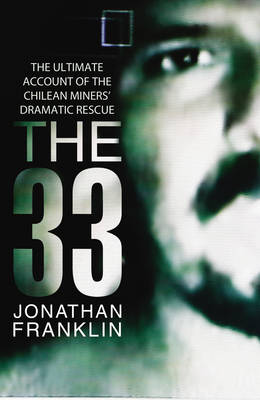 Book cover for The 33