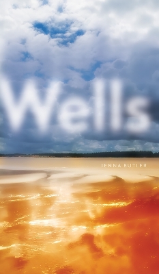 Cover of Wells