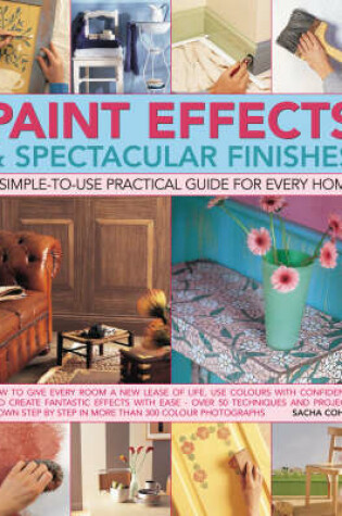 Cover of Paint Effects and Spectacular Finishes