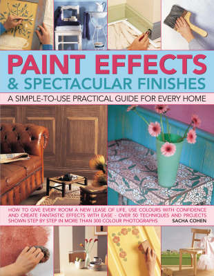 Book cover for Paint Effects and Spectacular Finishes