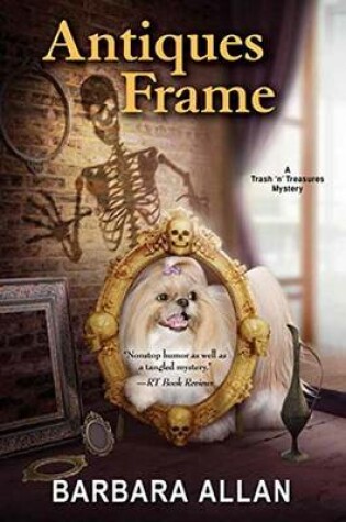 Cover of Antiques Frame