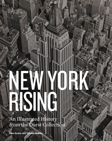 Book cover for New York Rising