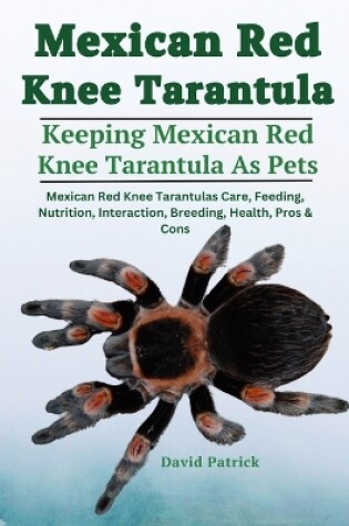 Cover of Mexican Red Knee Tarantula