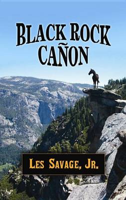Book cover for Black Rock Canon