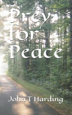 Book cover for Prey for Peace
