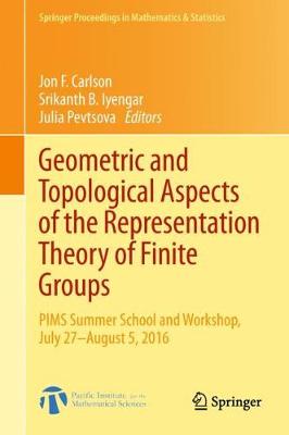 Cover of Geometric and Topological Aspects of the Representation Theory of Finite Groups