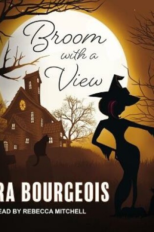 Cover of Broom with a View