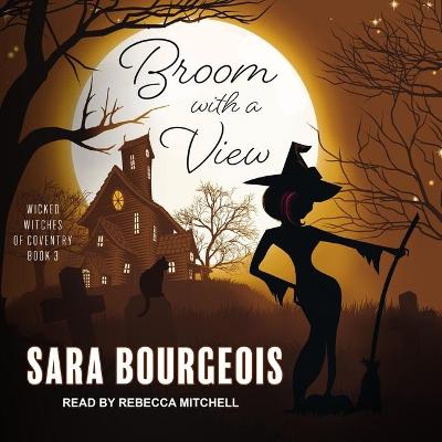 Book cover for Broom with a View