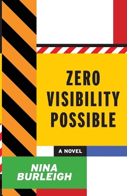 Book cover for Zero Visibility Possible