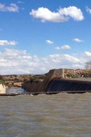 Cover of A Dam in Mexico