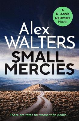 Book cover for Small Mercies