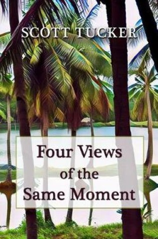 Cover of Four Views of the Same Moment