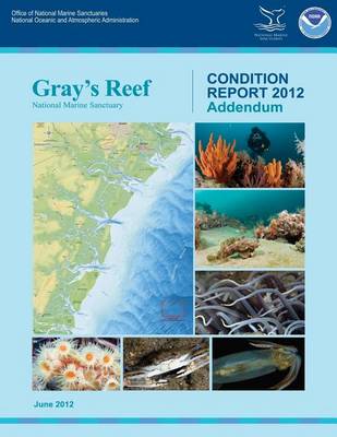 Book cover for Gray's Reef National Marine Sanctuary Condition Report Addendum 2012