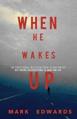 Book cover for When He Wakes Up