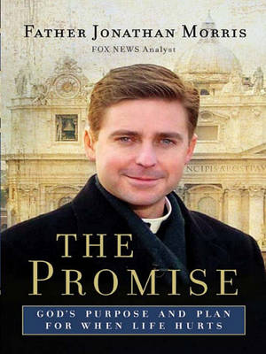 Book cover for The Promise