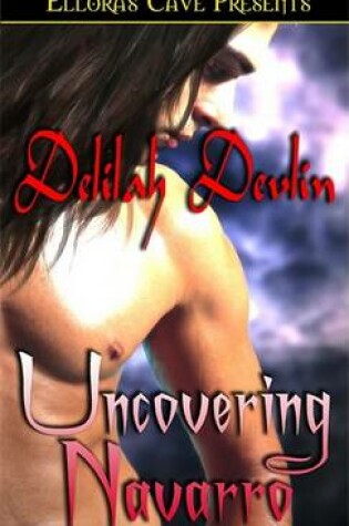 Cover of Uncovering Navarro
