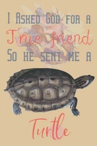 Cover of I asked god for a true friend so he sent me a Turtle