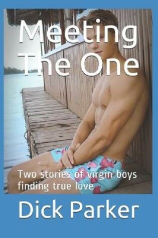 Cover of Meeting The One