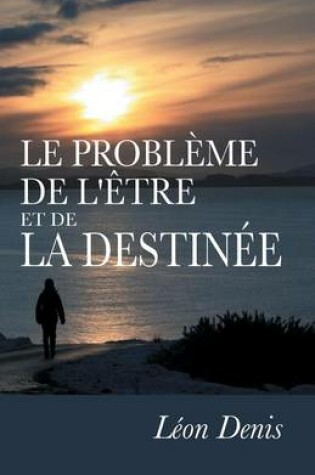 Cover of Le Probleme de l'Etre et de la Destinee