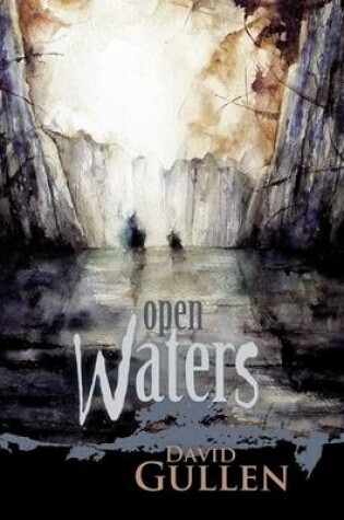Cover of Open Waters