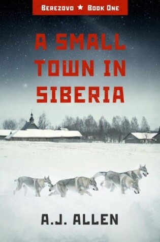 Cover of A Small Town in Siberia