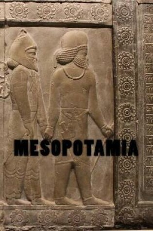 Cover of Mesopotamia