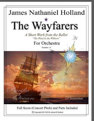 Book cover for The Wayfarers