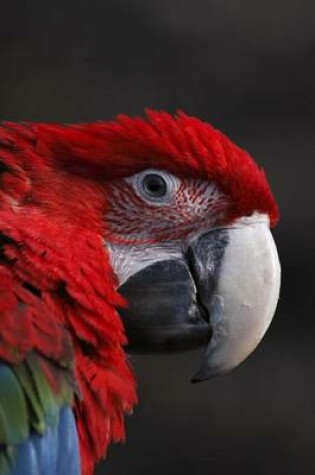 Cover of Red Cuban Macaw Parrot Journal